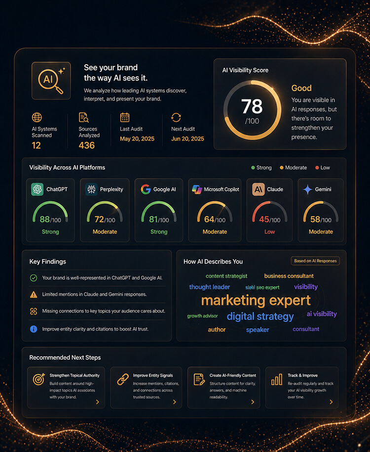 Audit How AI Sees You